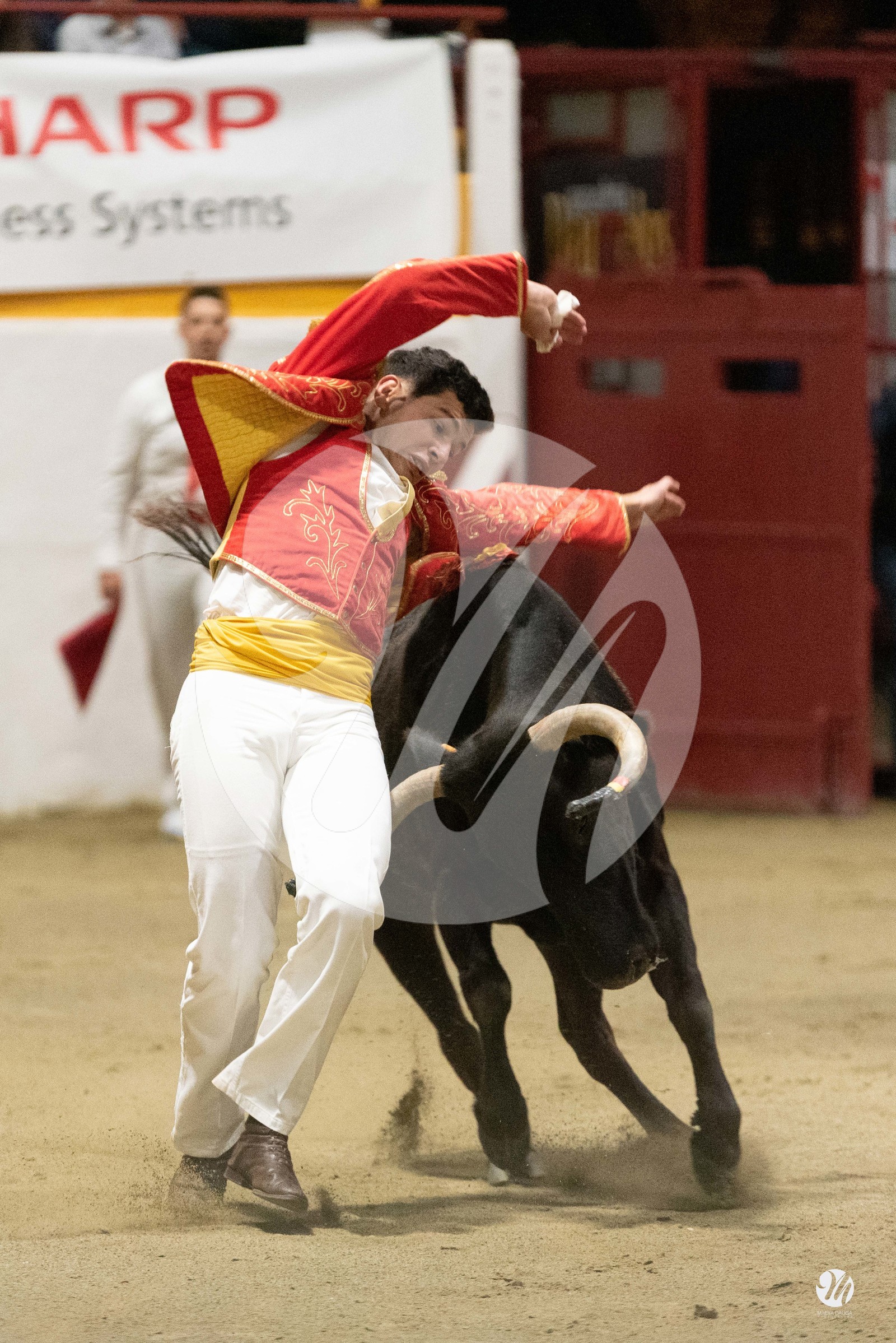 dsc_3958.jpg