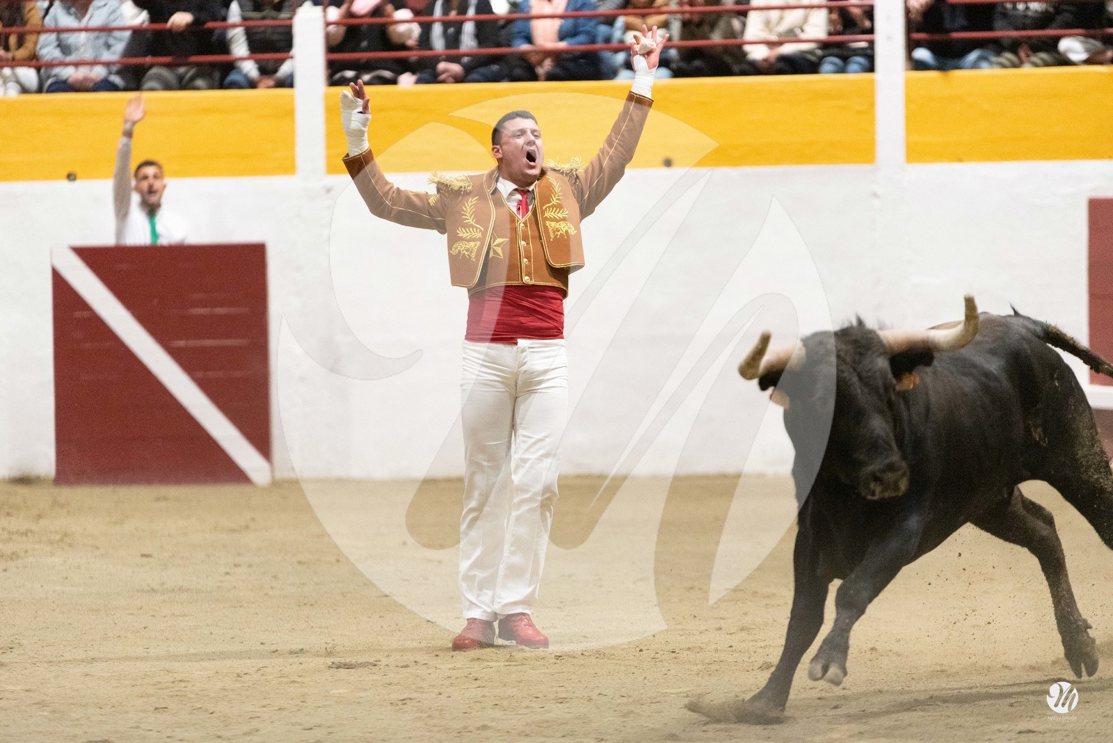 dsc_4277.jpg