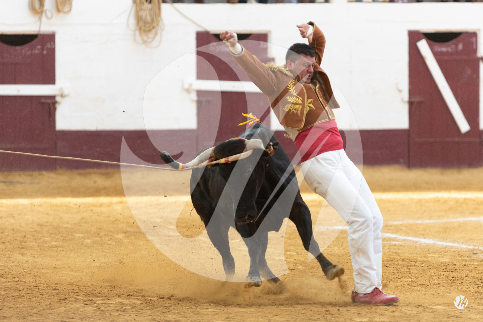 dsc_9770.jpg