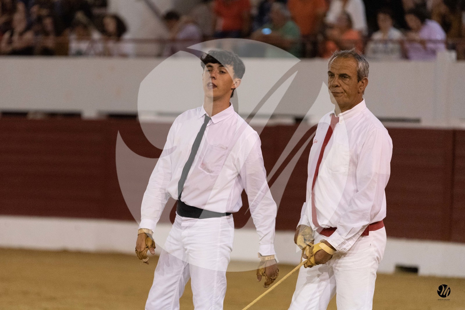 dsc_1839.jpg