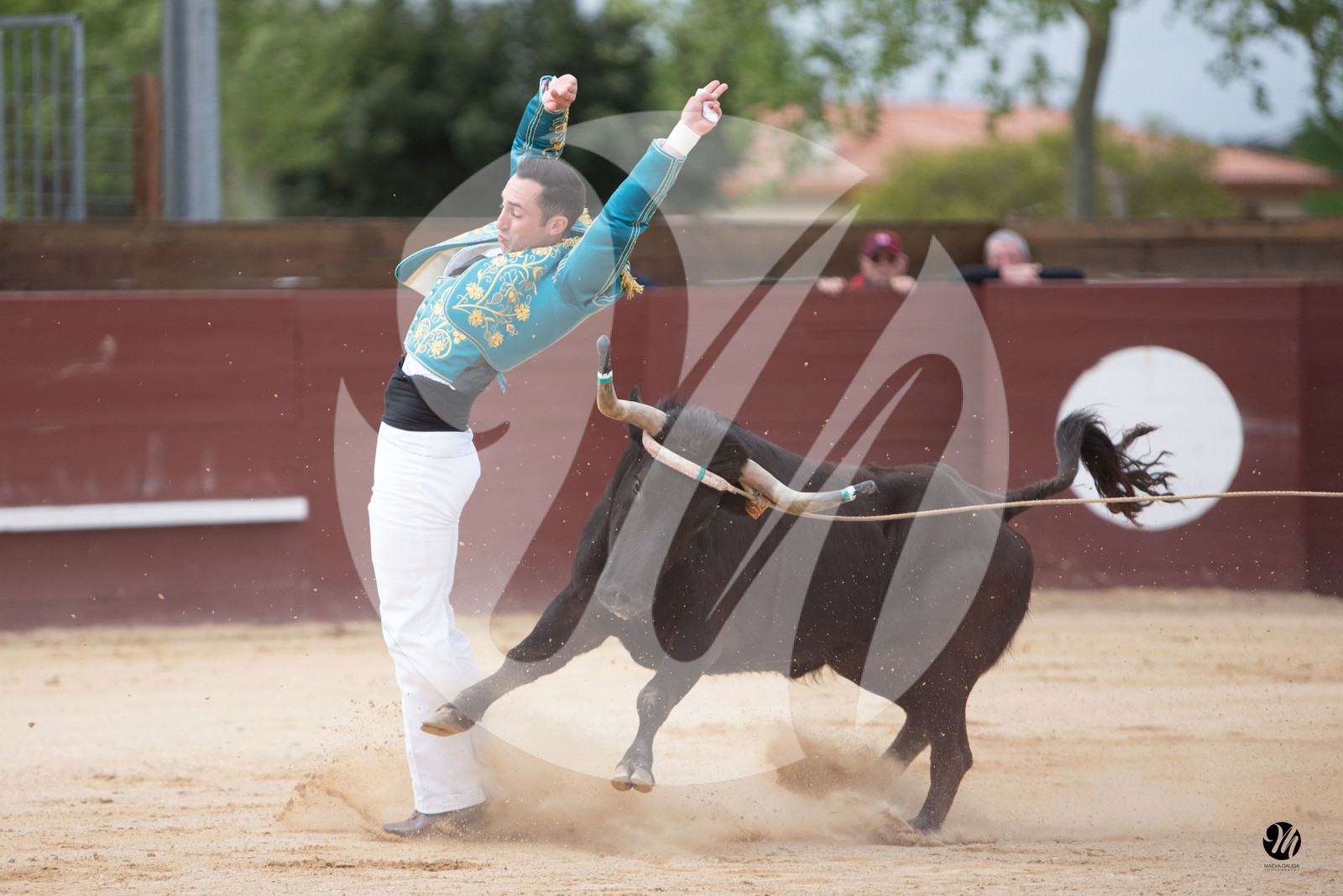 dsc_5799.jpg