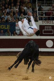 dsc_2010.jpg