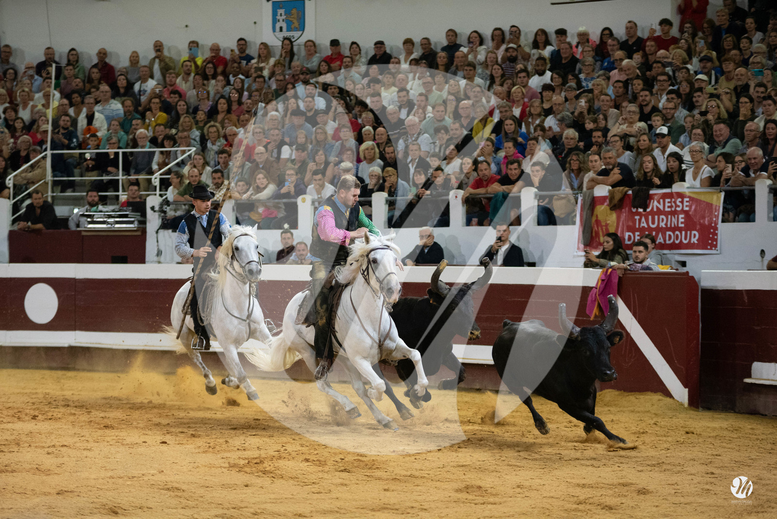 dsc_2737.jpg