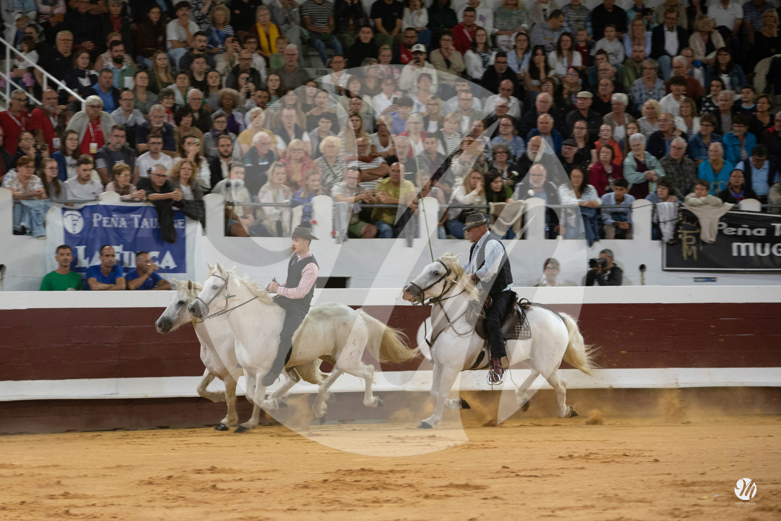 dsc_2436.jpg