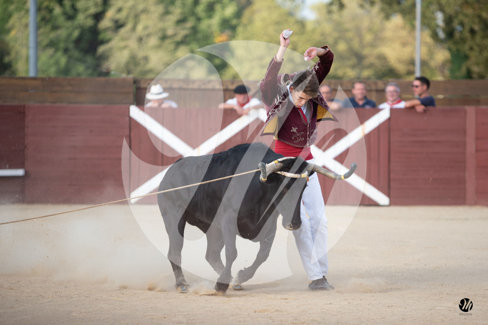 dsc_6225.jpg