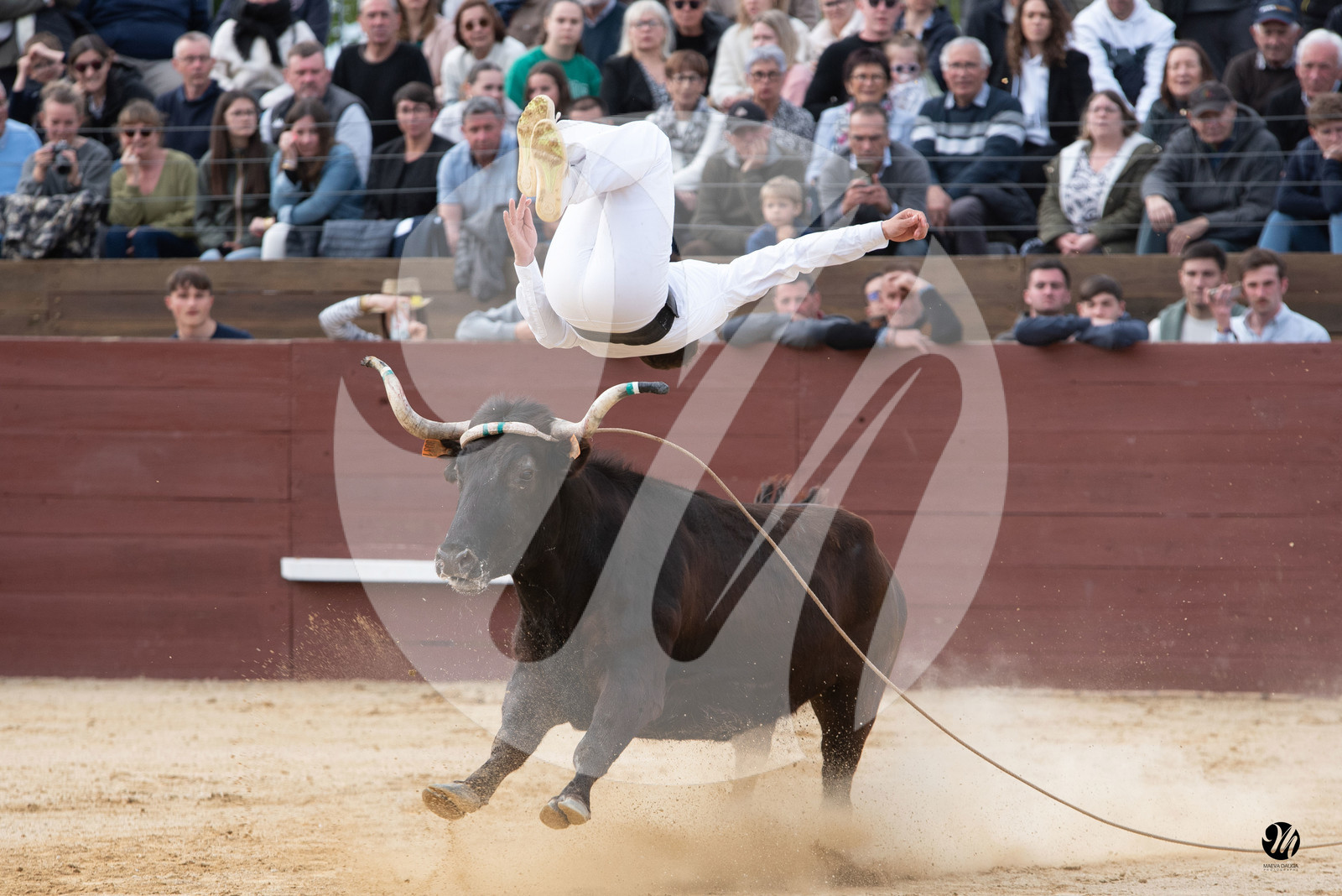 dsc_6351.jpg