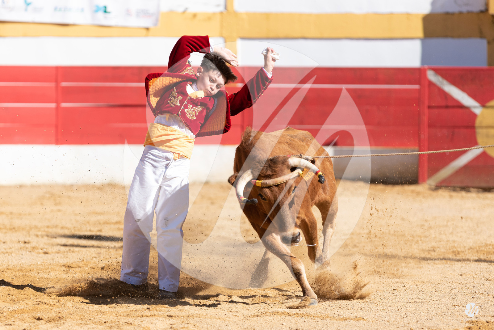 dsc_6641.jpg