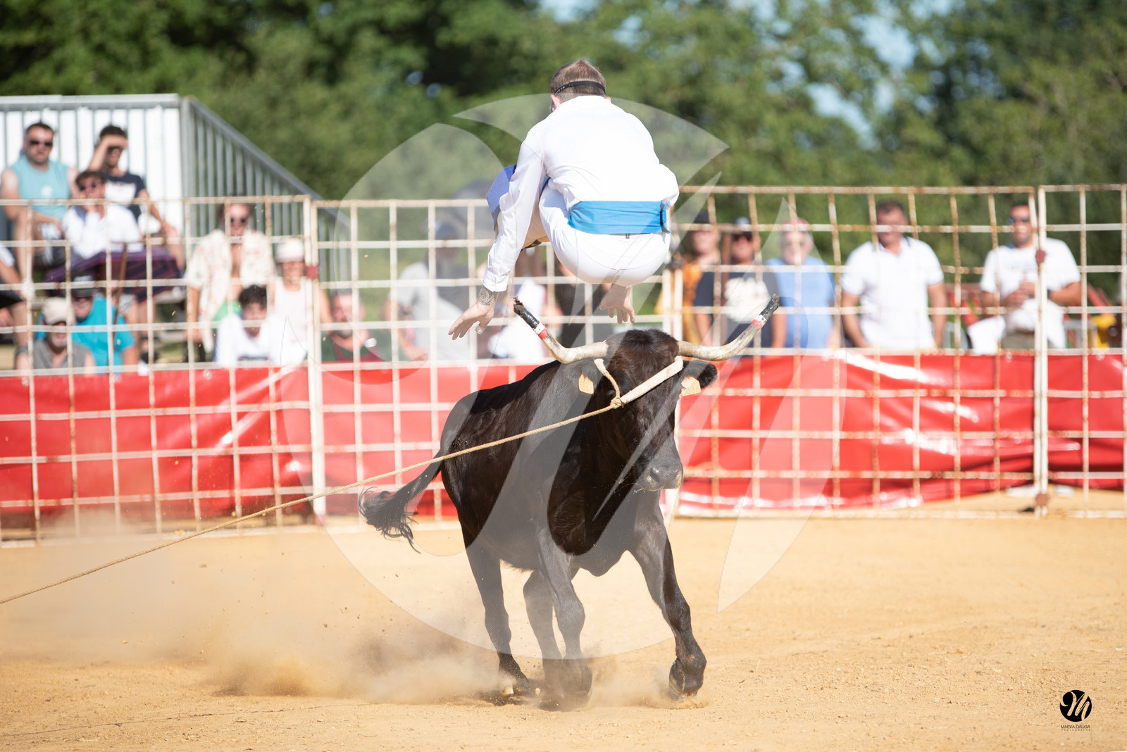dsc_3961.jpg