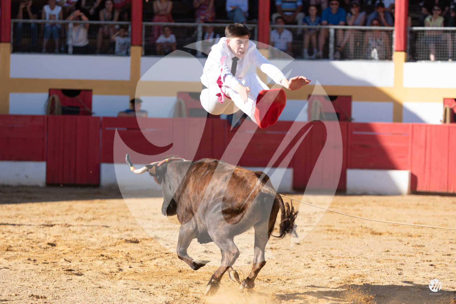 dsc_6835.jpg