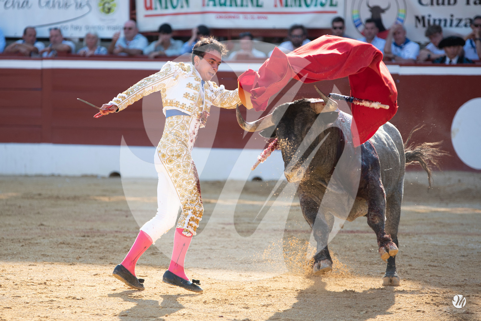 dsc_1815.jpg