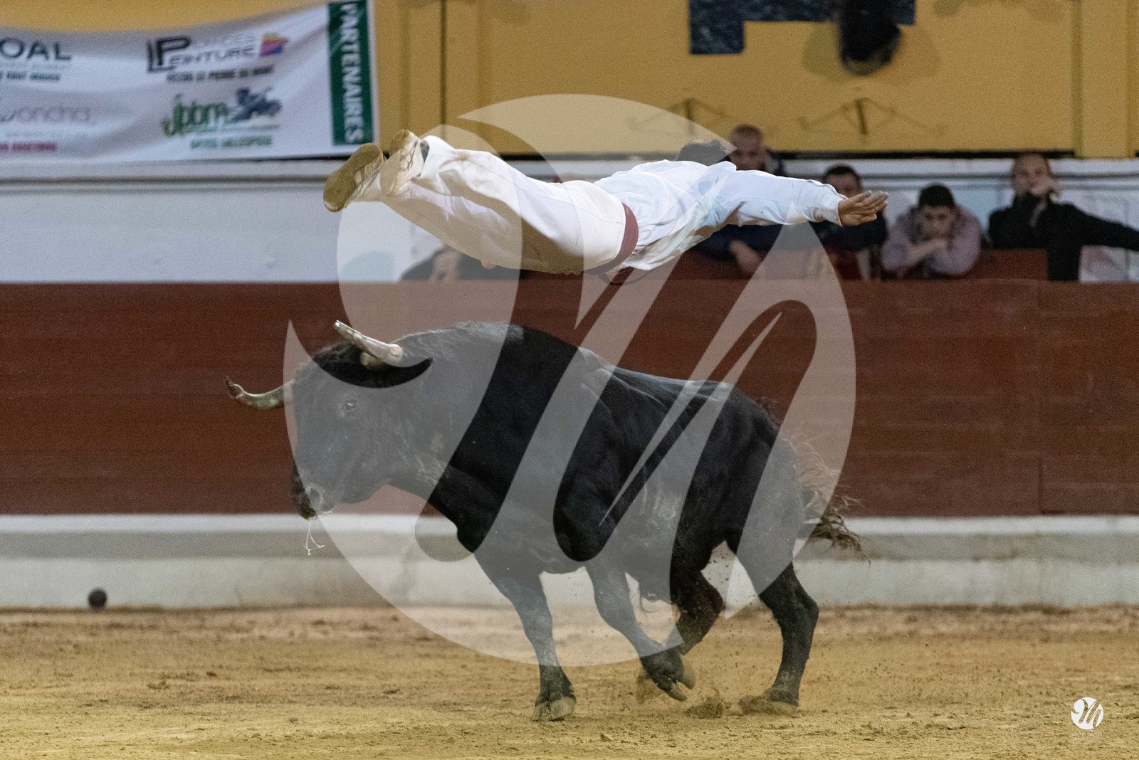 dsc_0652.jpg