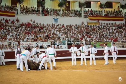 dsc_5357.jpg