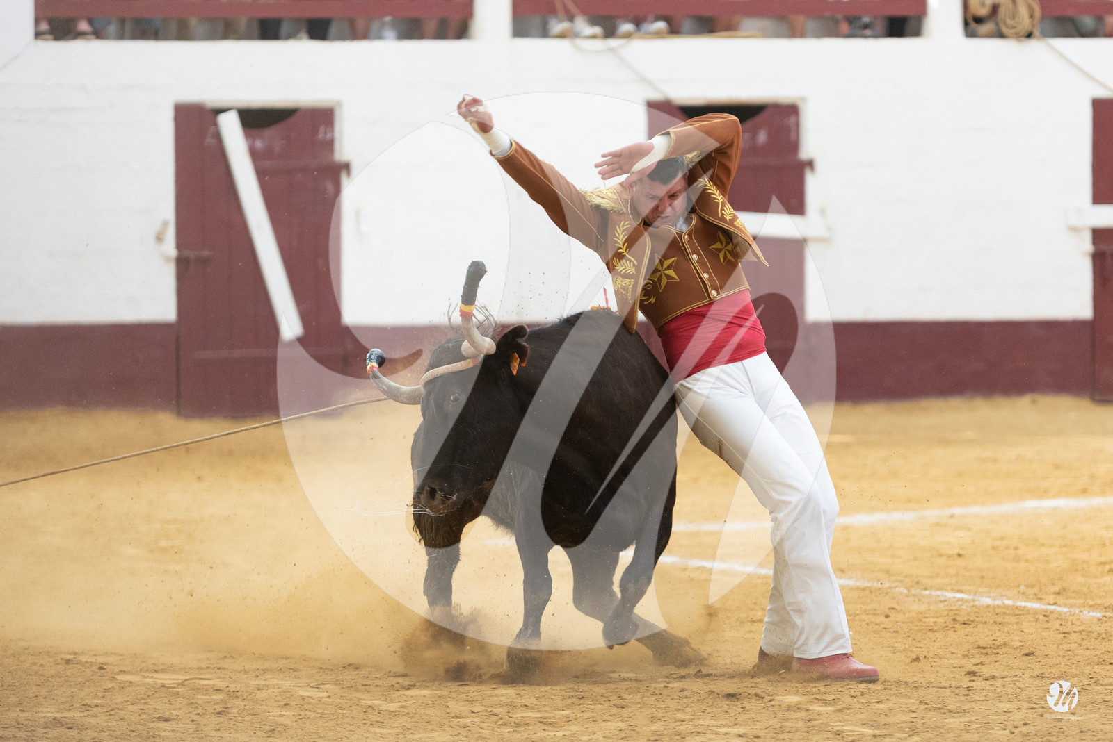 dsc_9671.jpg