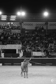 dsc_0202.jpg-nb.jpg