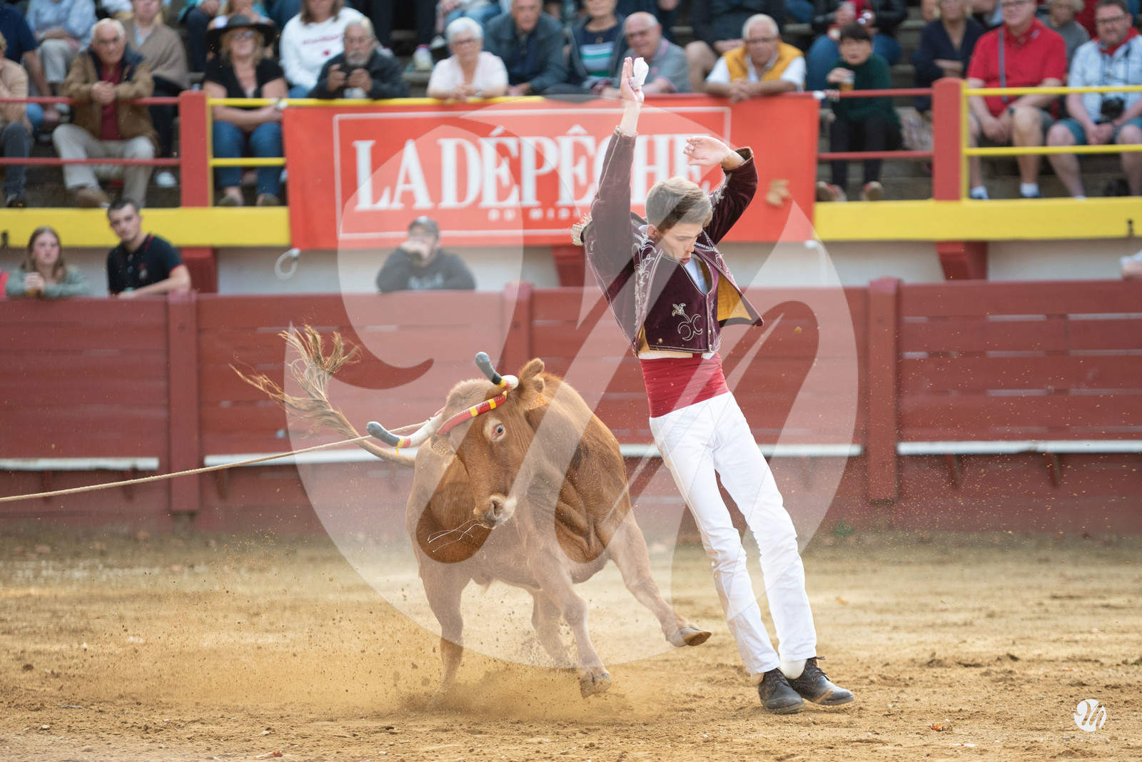 dsc_3324.jpg
