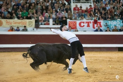 dsc_2516.jpg