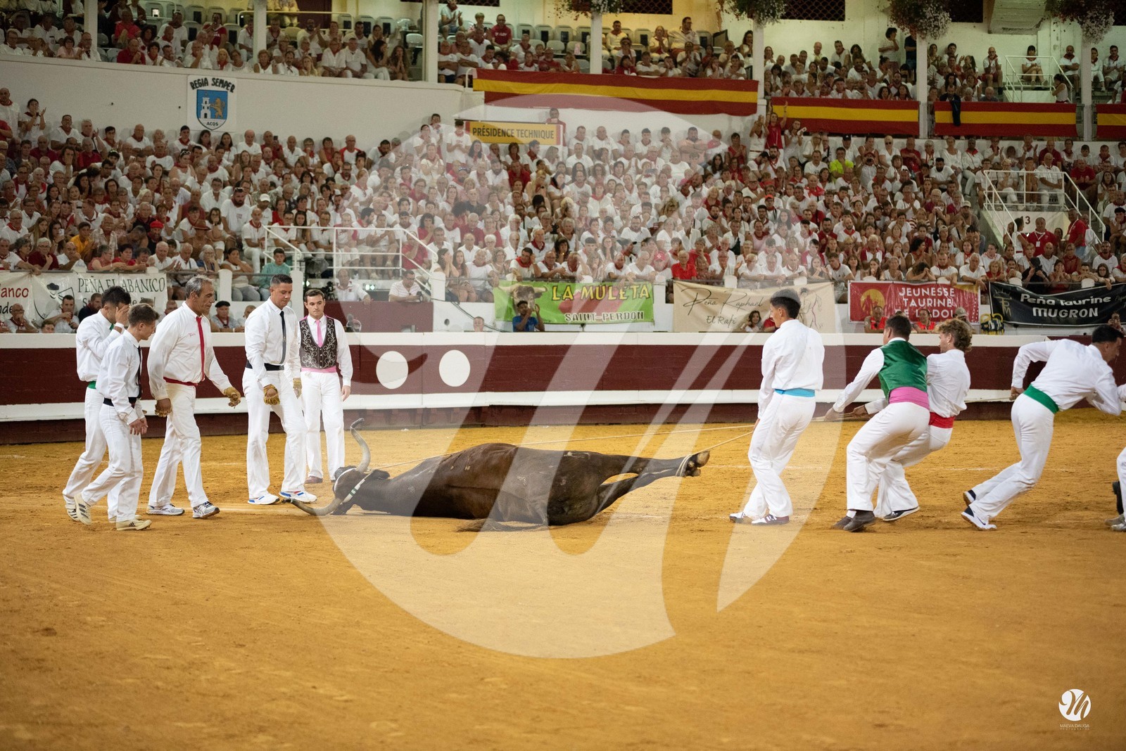 dsc_5377.jpg