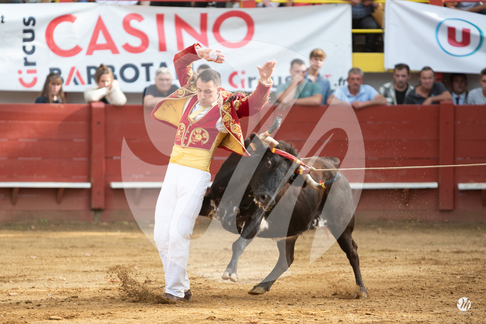 dsc_3213.jpg
