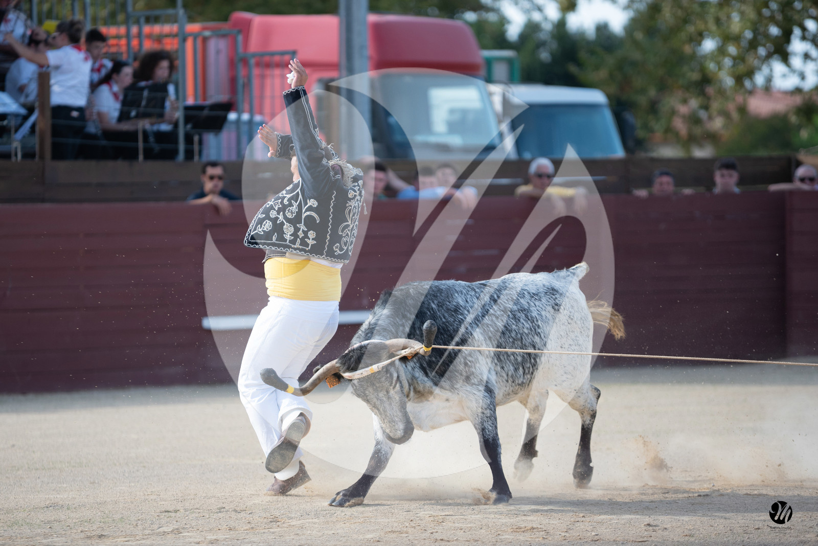 dsc_5719.jpg