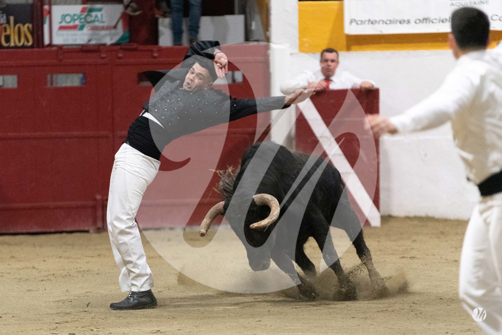 dsc_4085.jpg