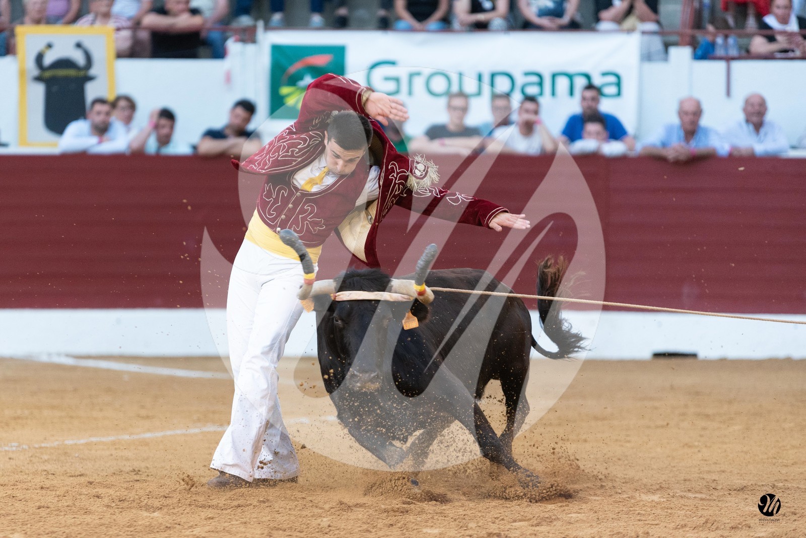 dsc_1477.jpg