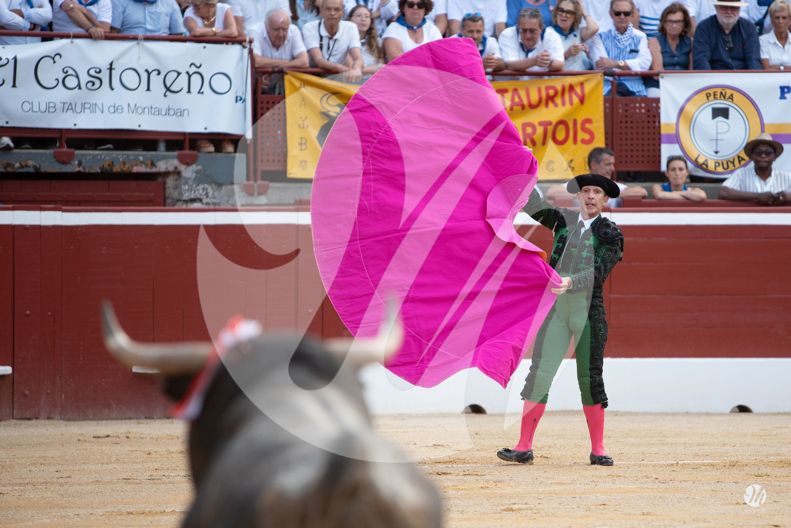 dsc_2204.jpg