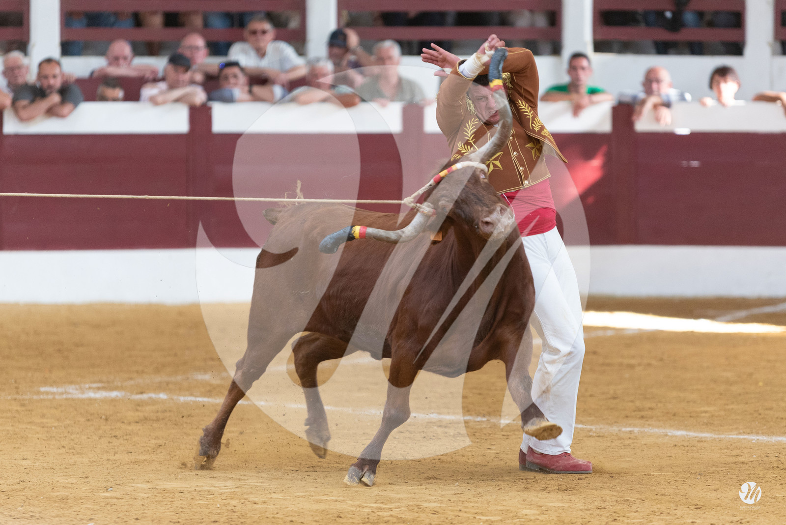 dsc_9917.jpg