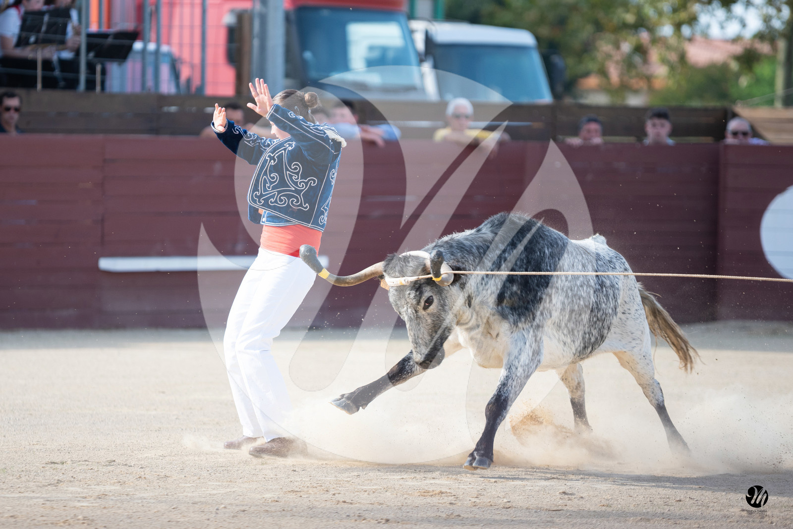 dsc_5713.jpg