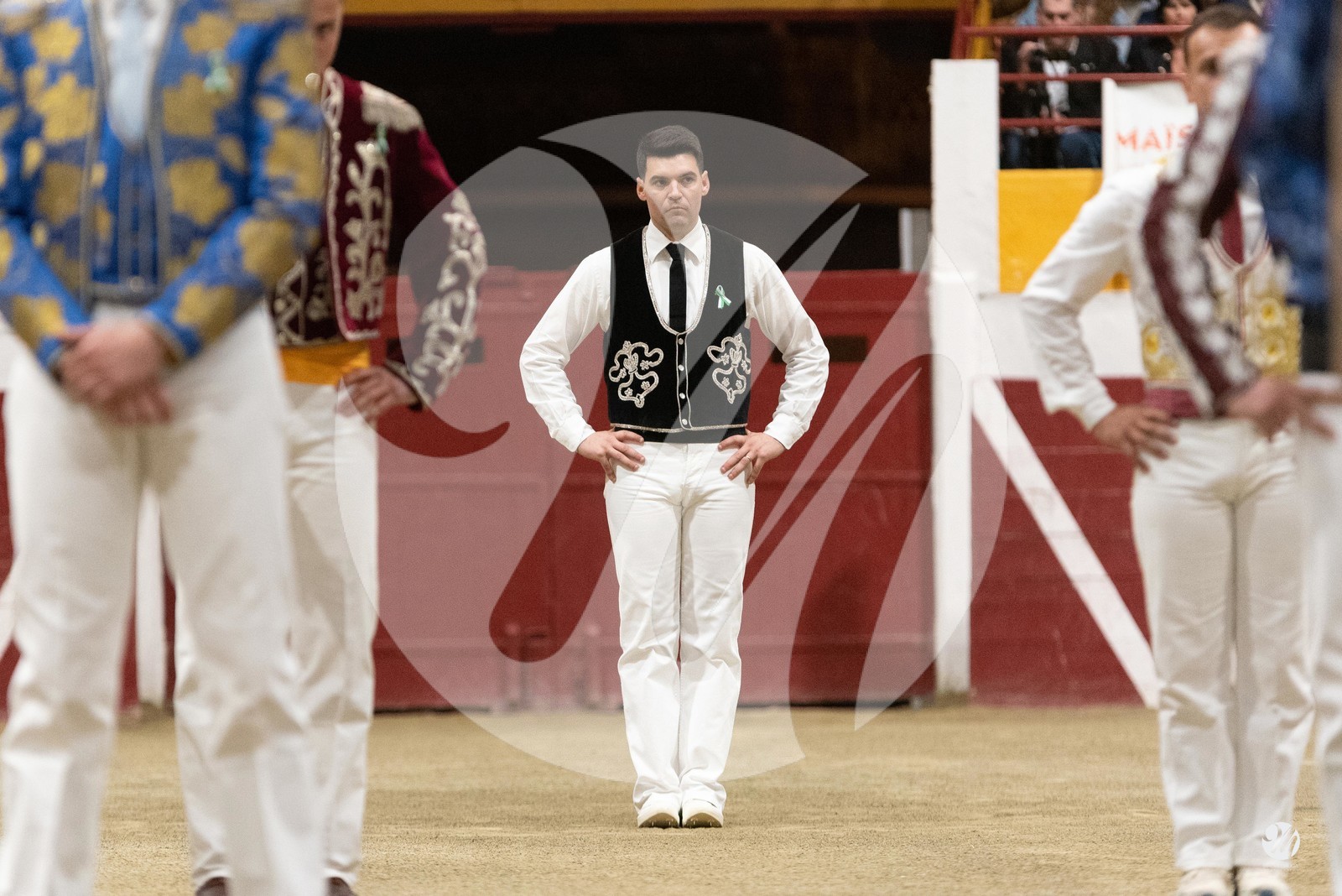 dsc_3761.jpg