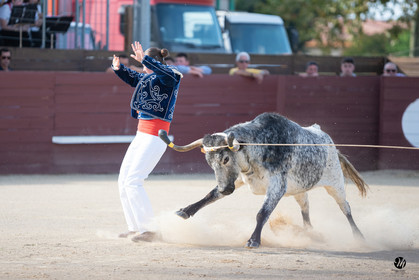 dsc_5713.jpg