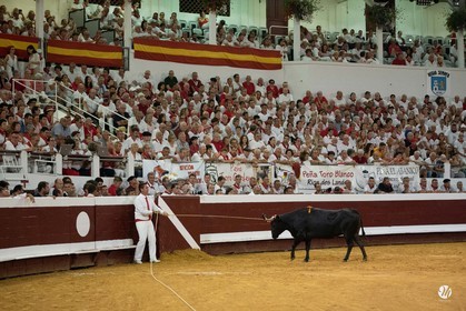 dsc_5439.jpg