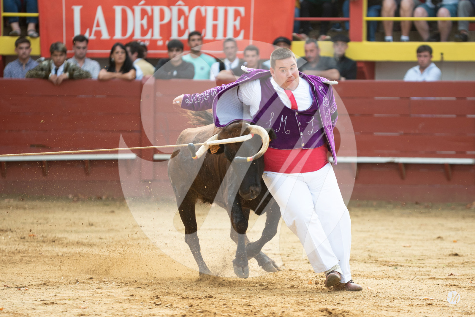 dsc_2883.jpg