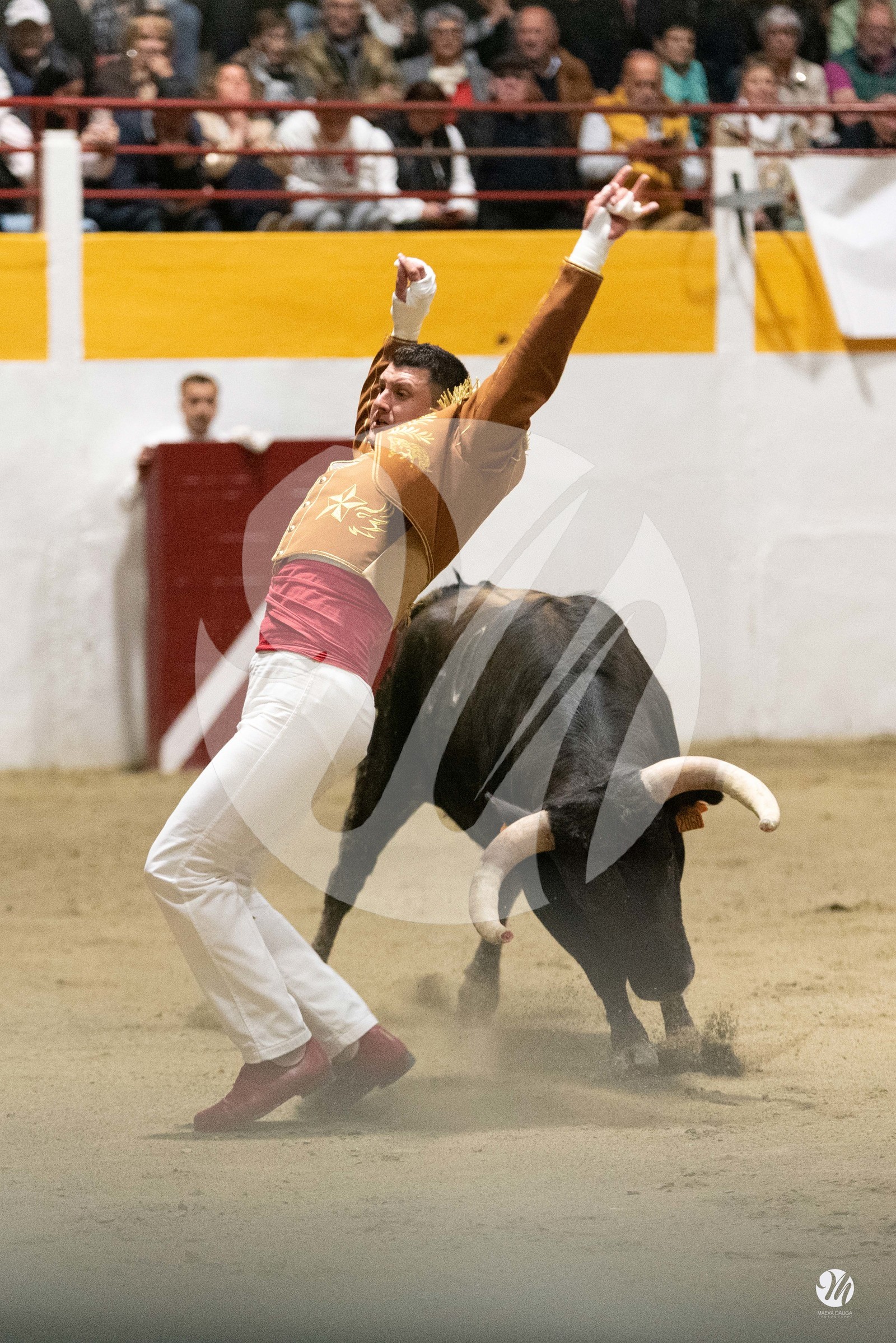 dsc_4309.jpg