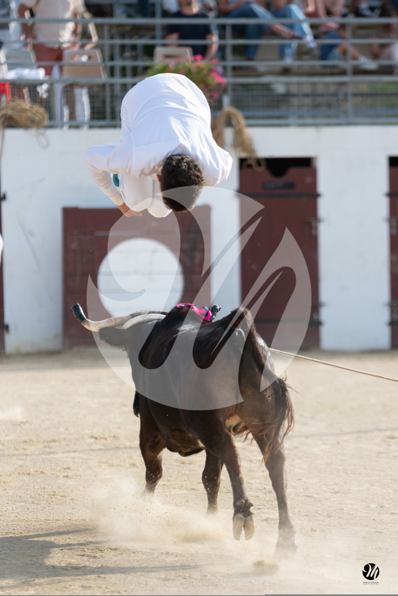 dsc_5967.jpg