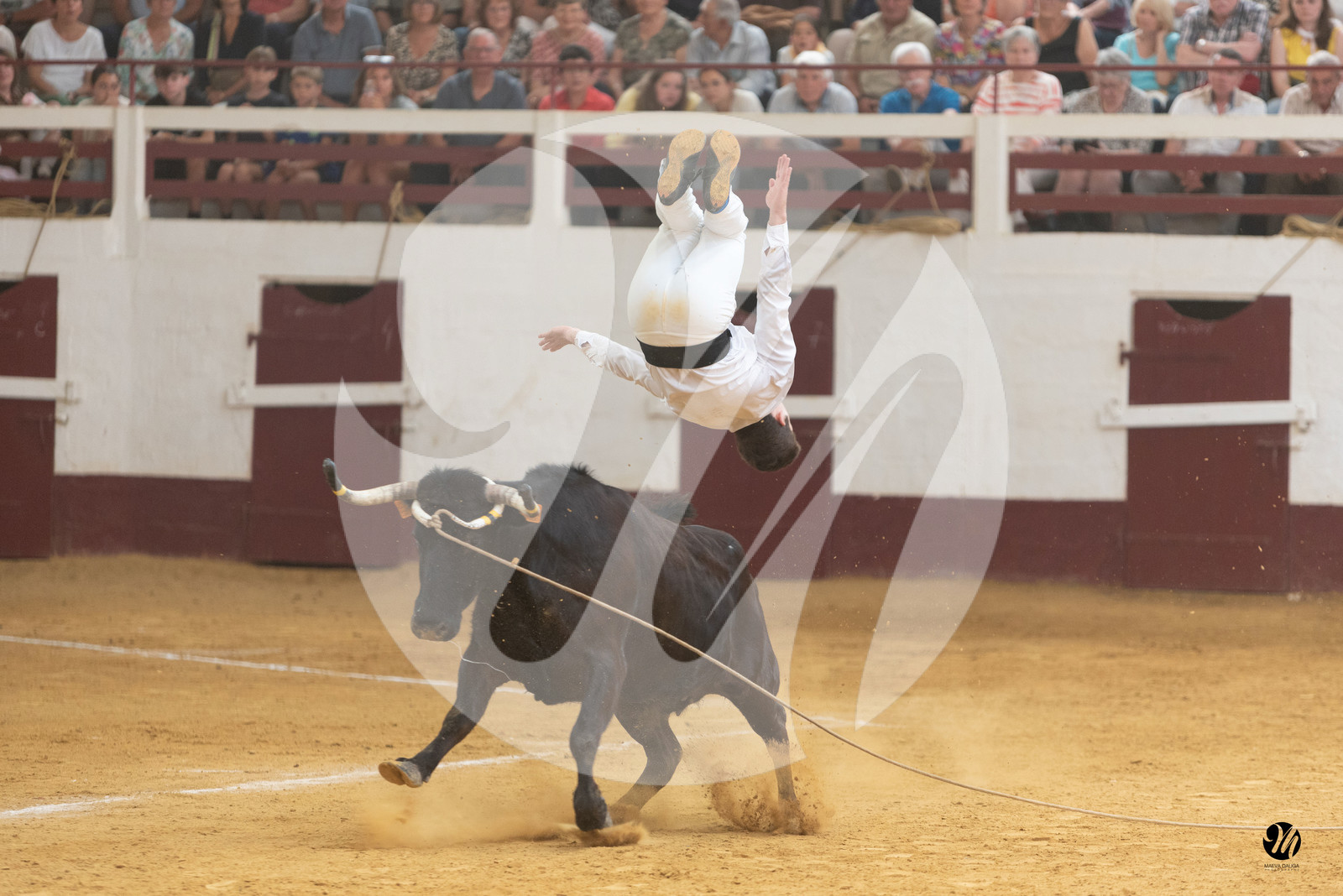 dsc_8888.jpg