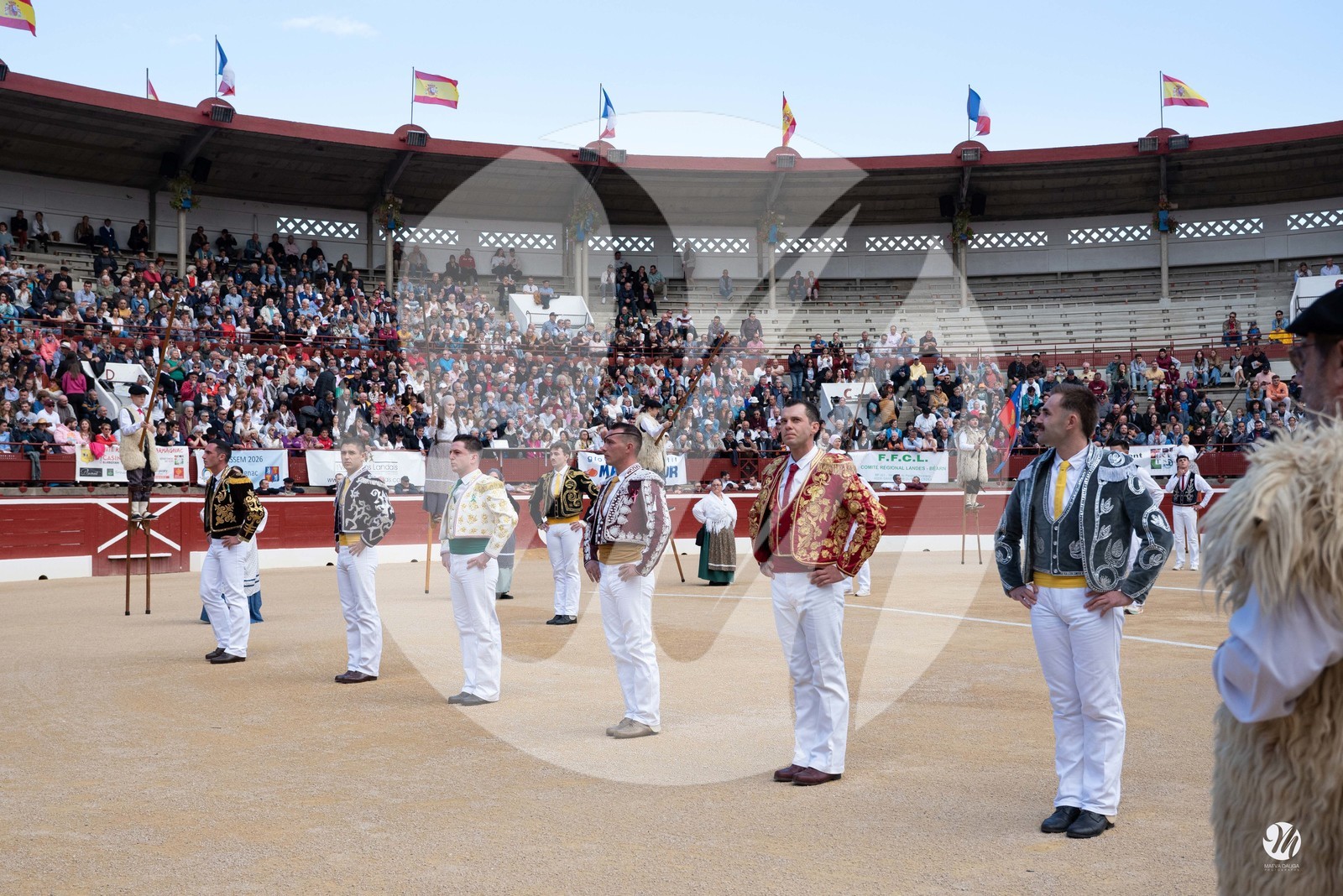 dsc_3491.jpg