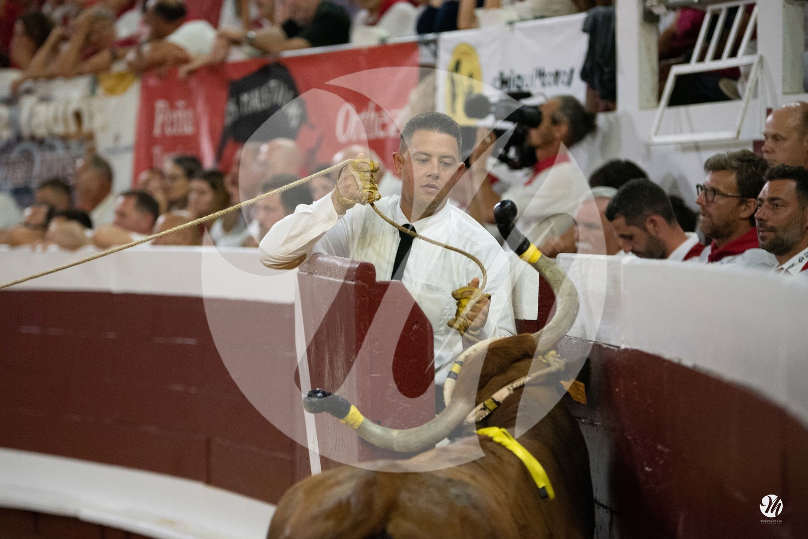 dsc_5484.jpg