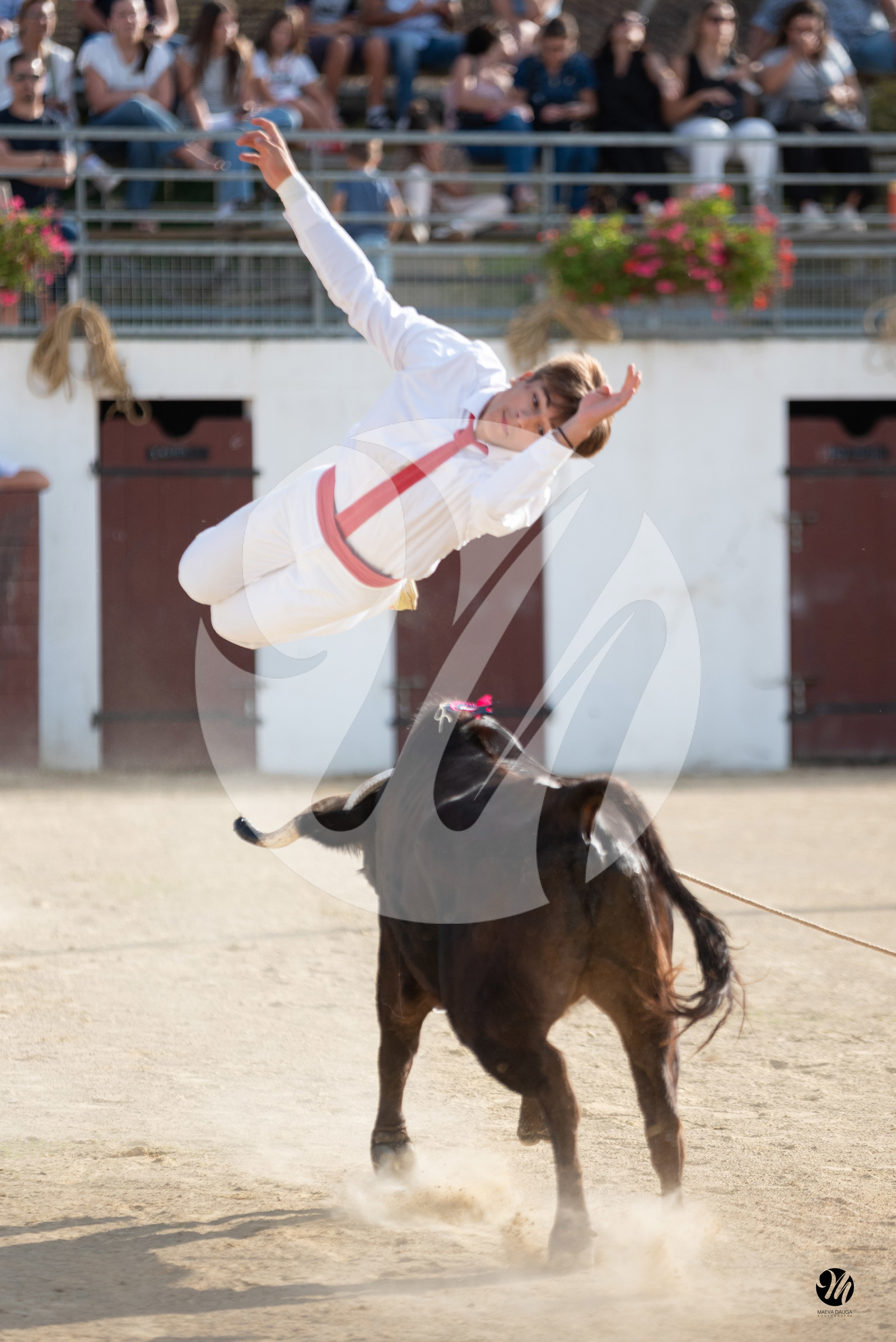 dsc_5941.jpg