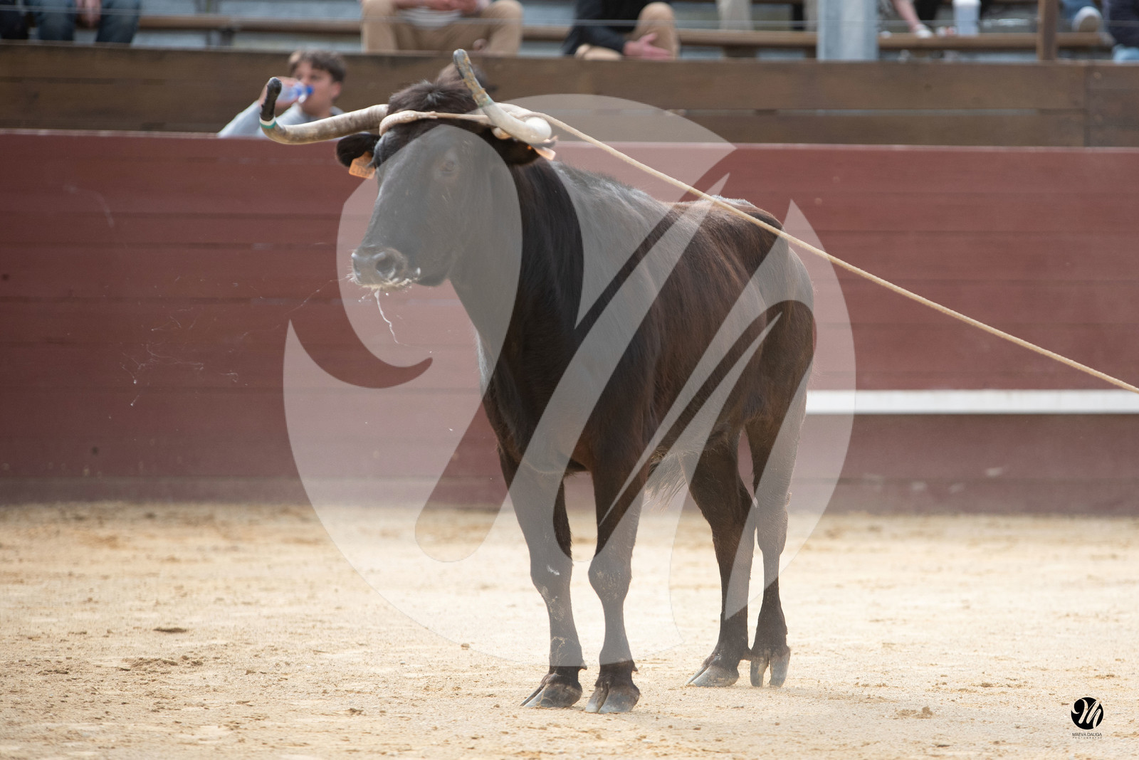 dsc_6077.jpg