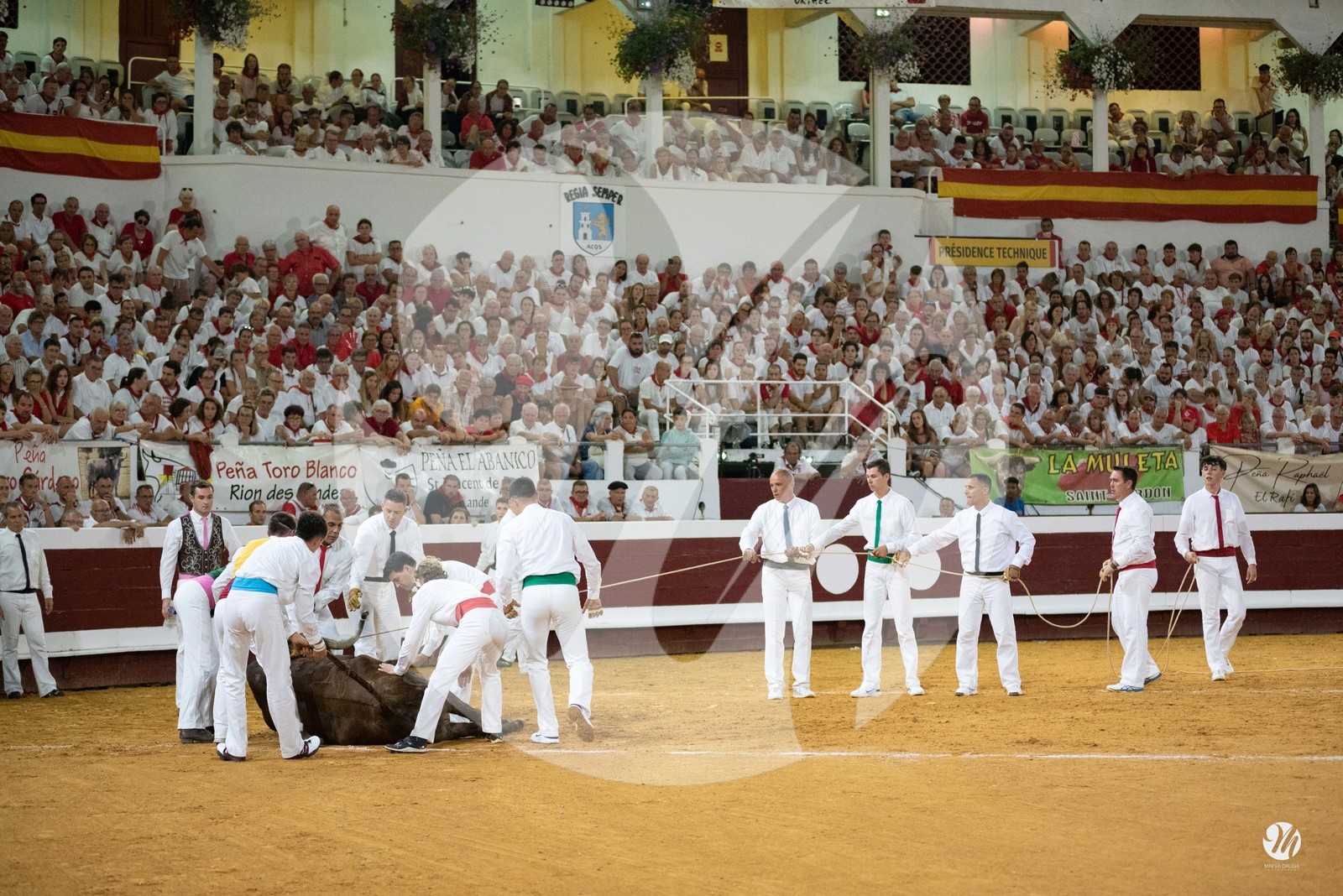 dsc_5357.jpg