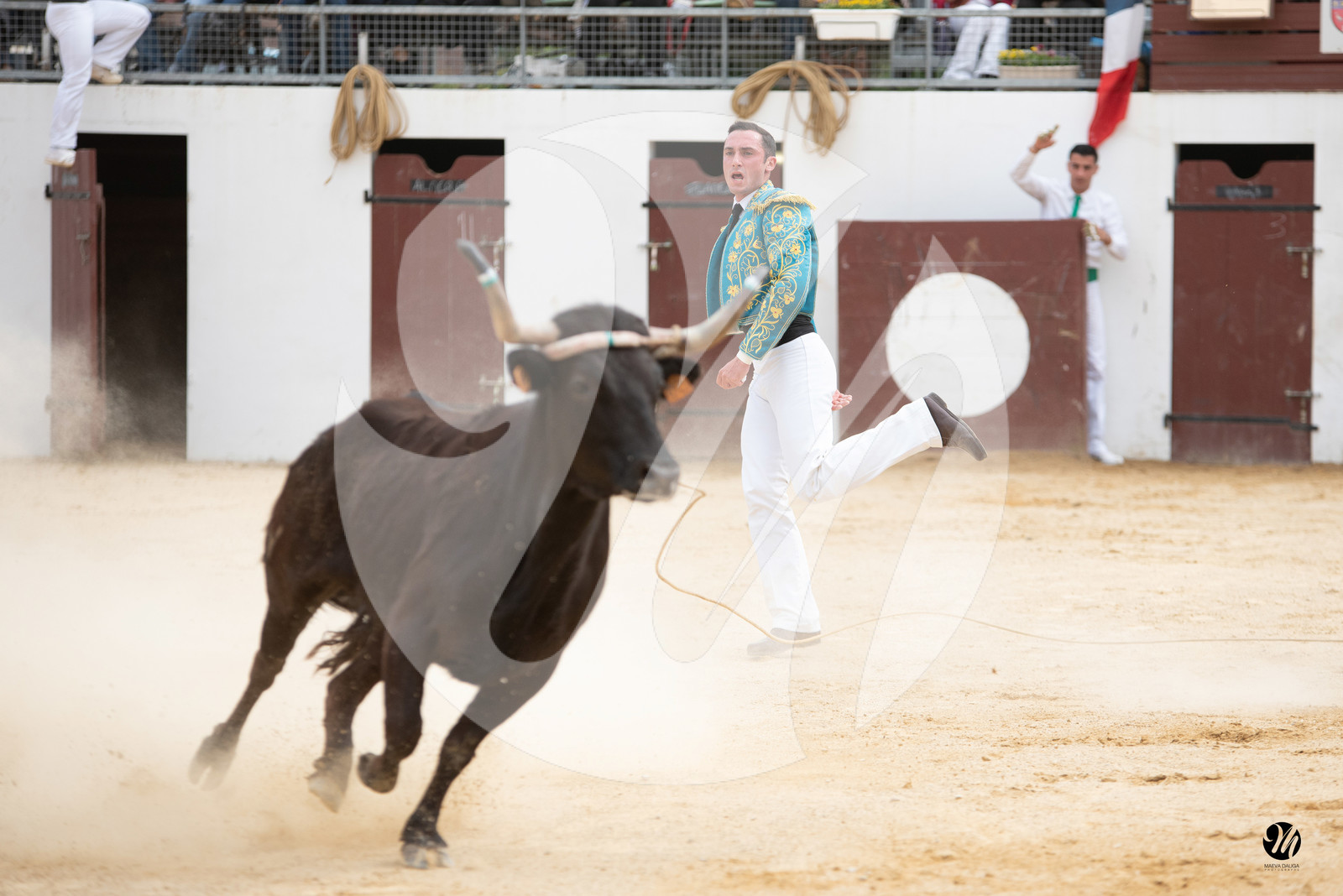 dsc_5855.jpg