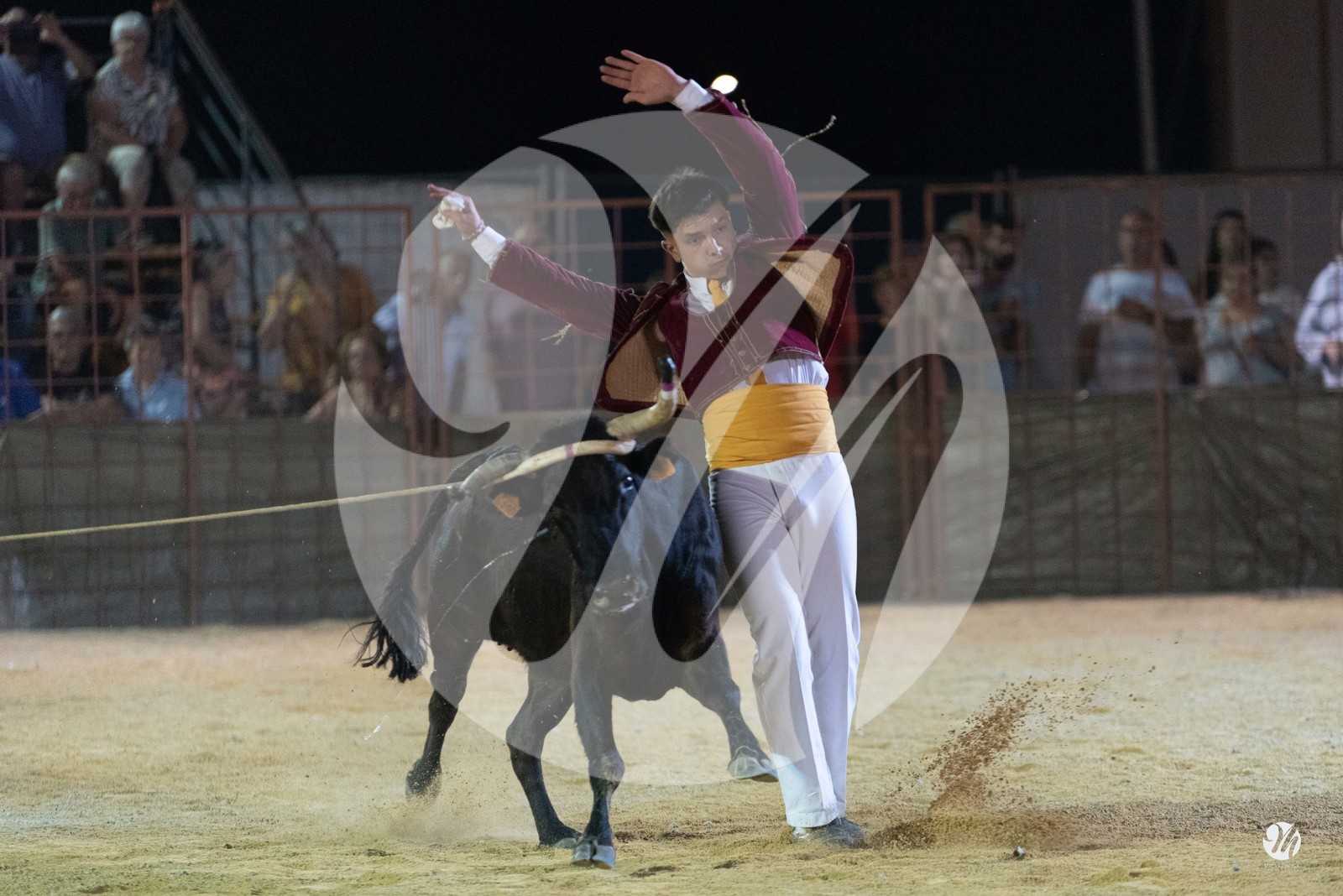 dsc_7636.jpg
