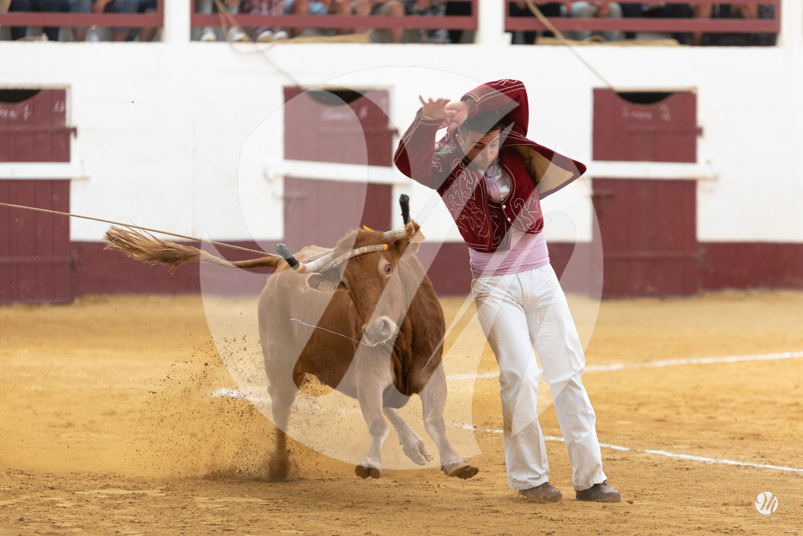 dsc_9421.jpg