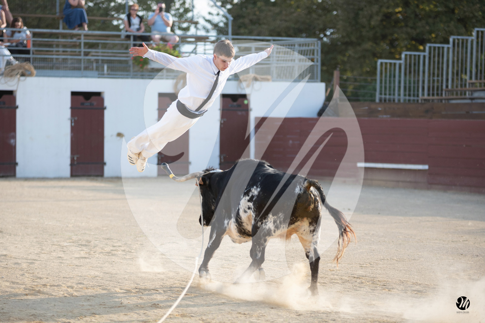 dsc_6192.jpg