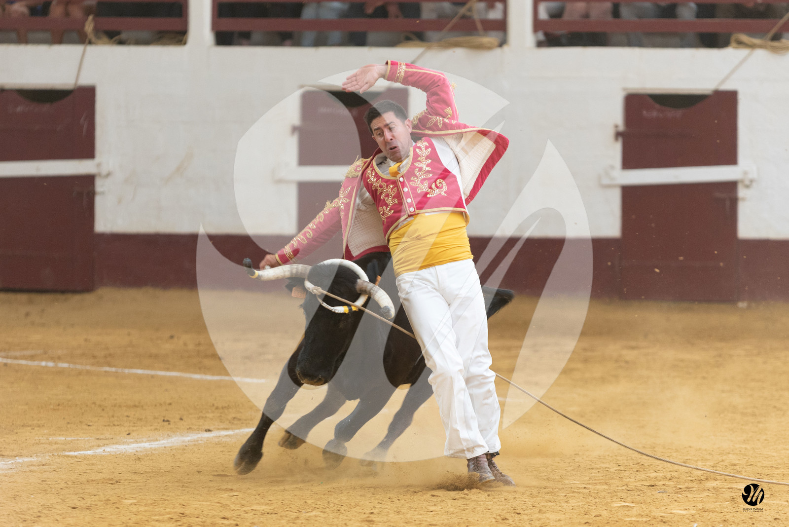 dsc_8869.jpg