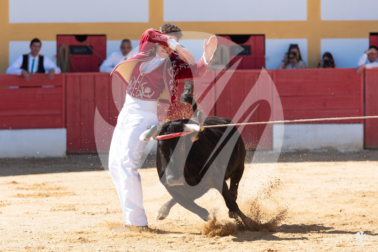 dsc_6297.jpg