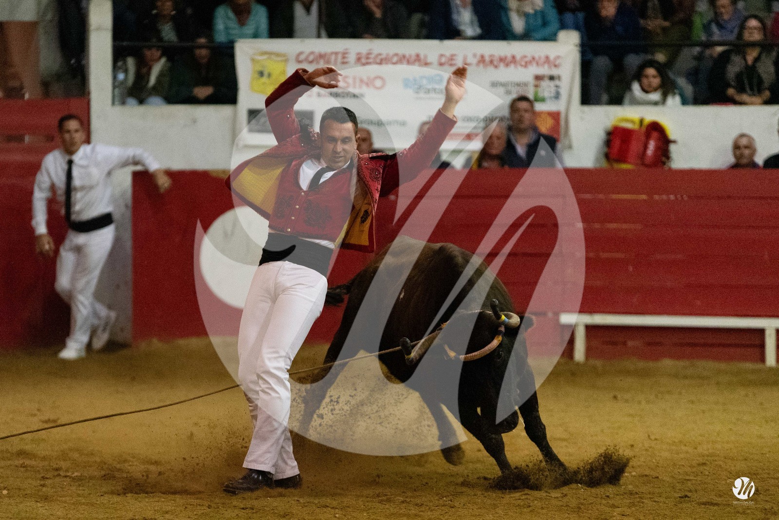 dsc_7530.jpg