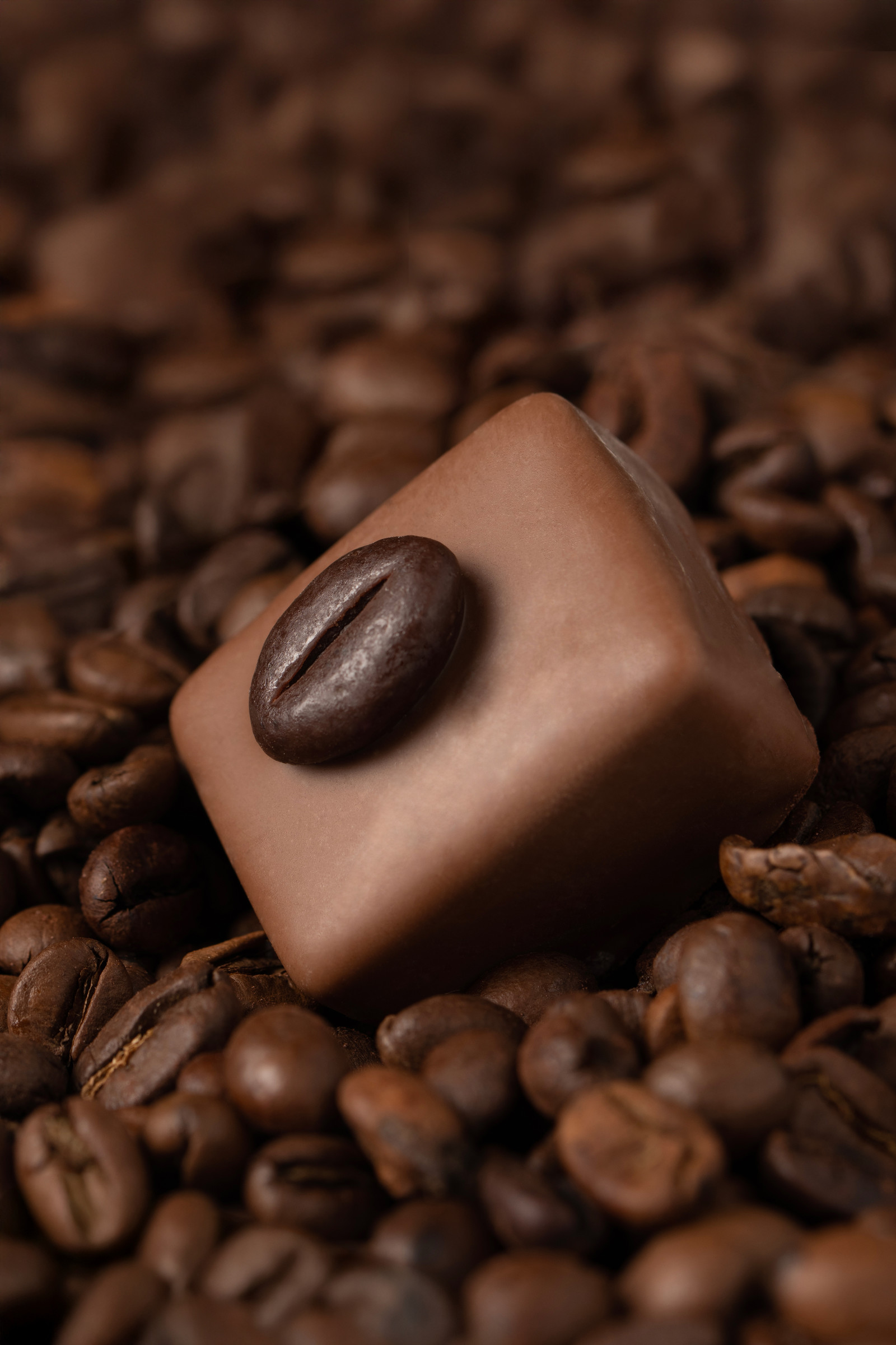 chocolat-3630-2-f.jpg