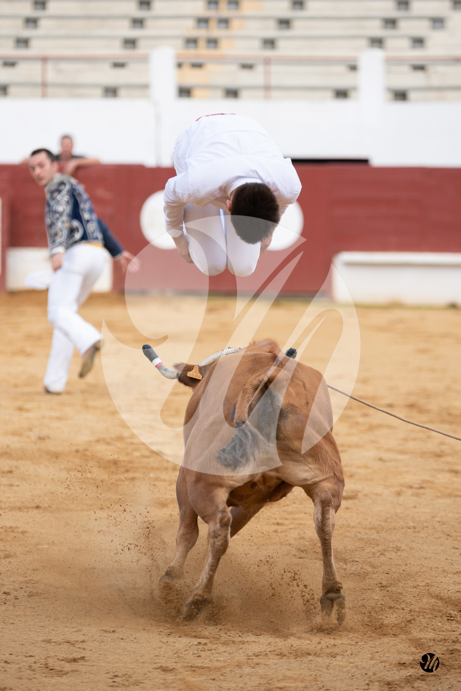 dsc_3973.jpg