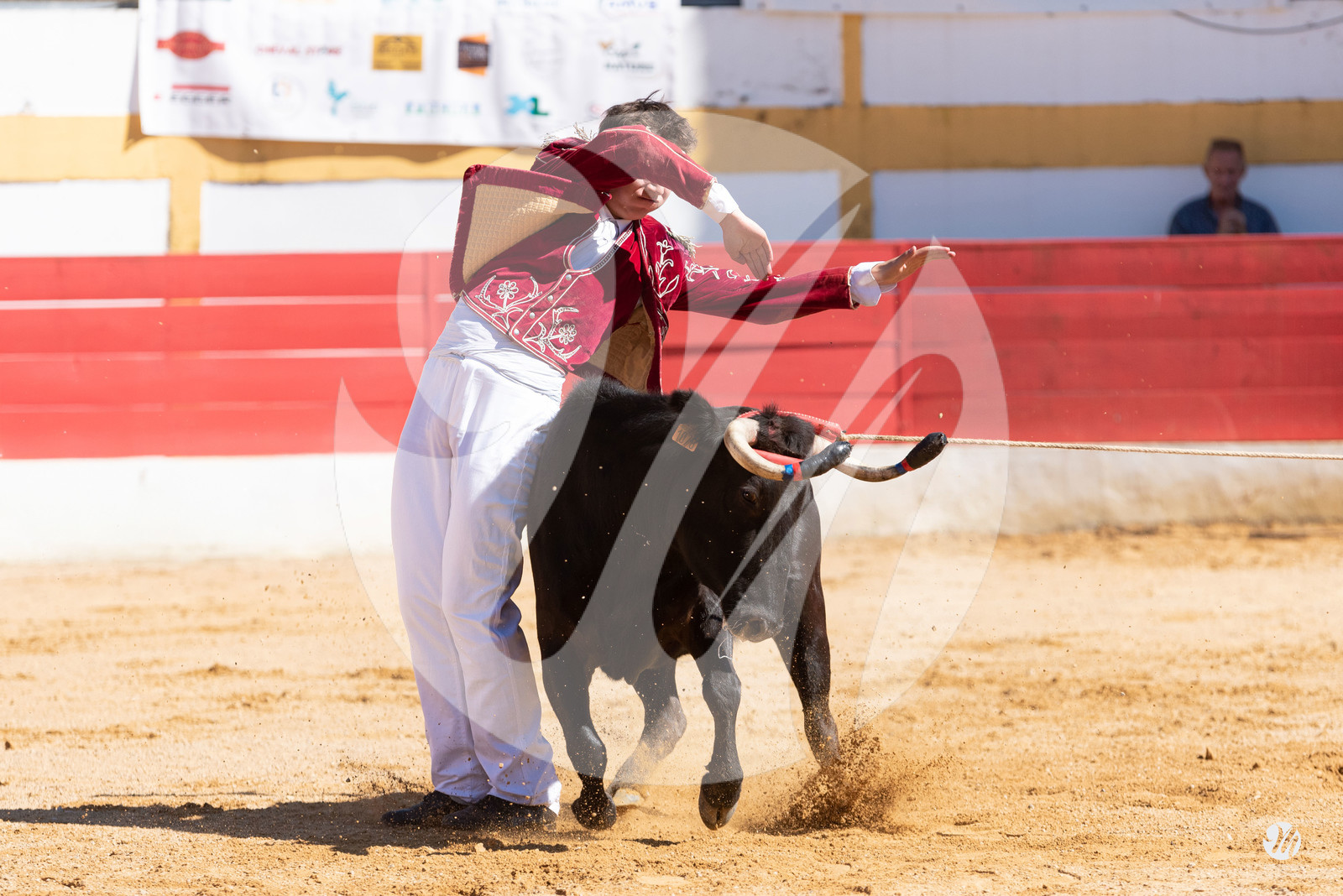 dsc_6304.jpg